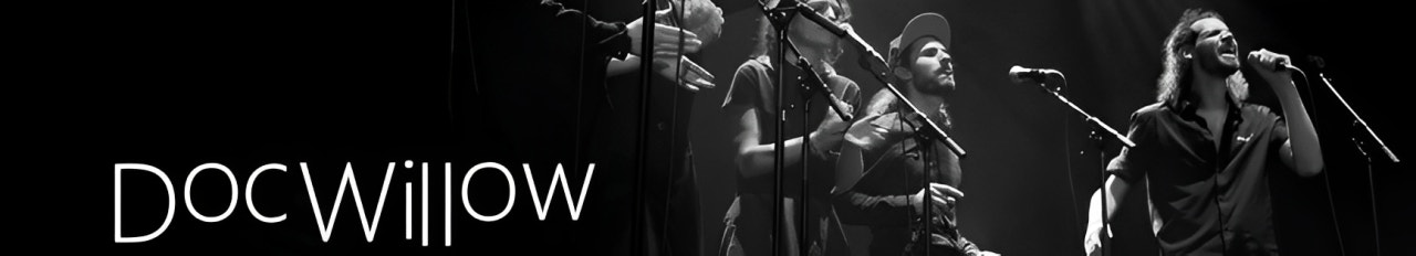 Doc Willow et ses musiciens sur scène