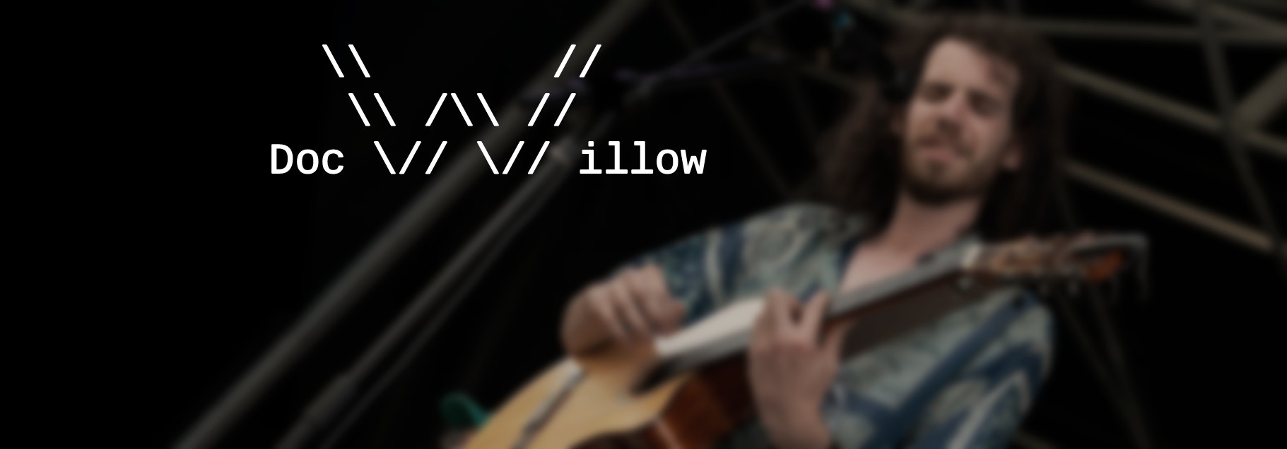 Doc Willow en concert à la guitare