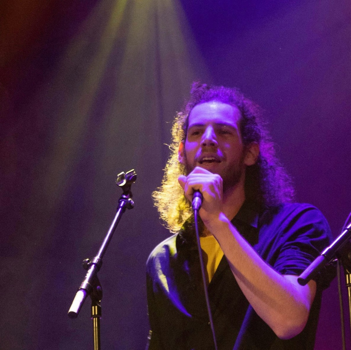 Chanteur, Musicien belge auteur compositeur interprète