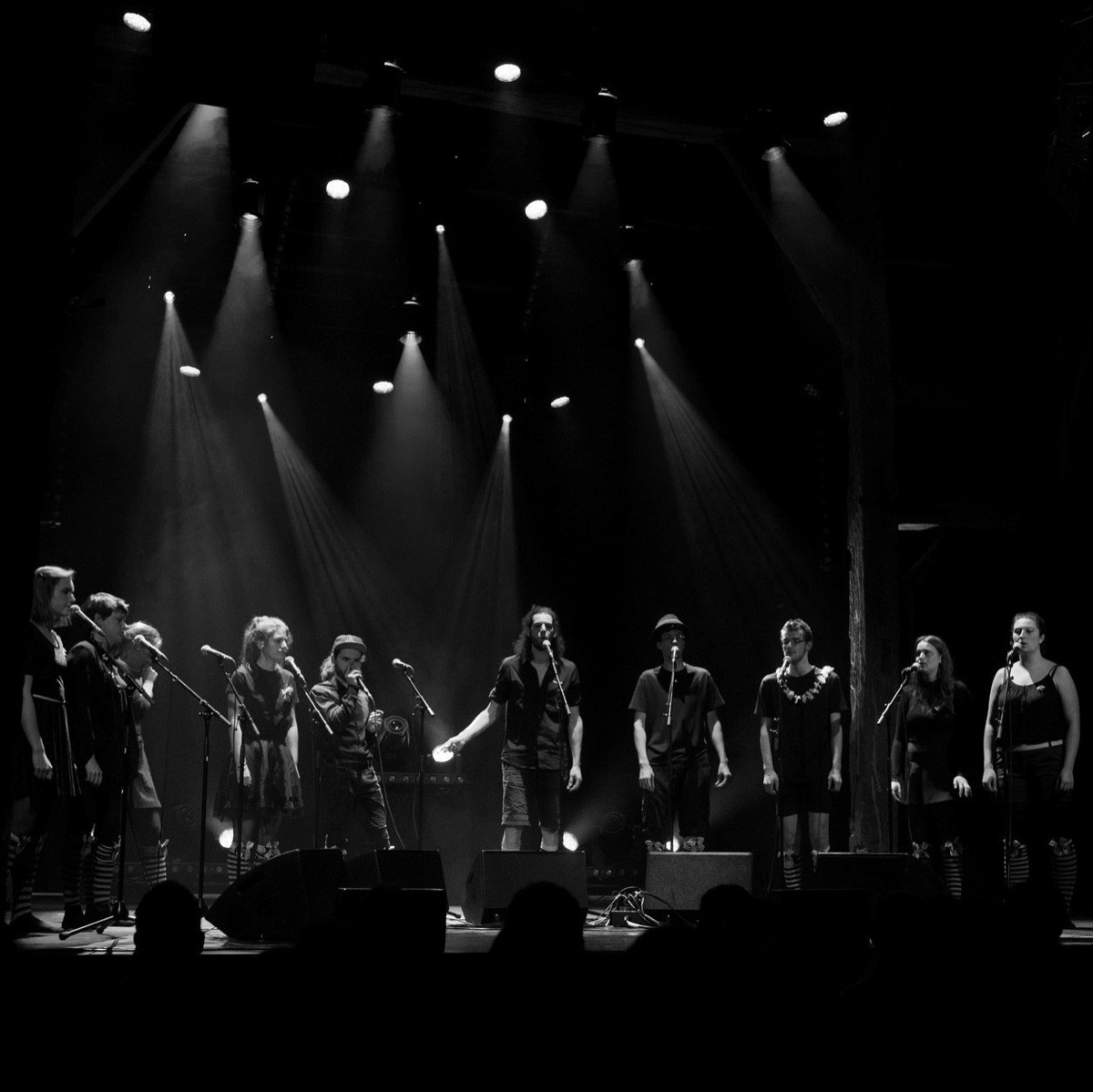 Chef de chœur, chorale, Musicien belge auteur compositeur interprète